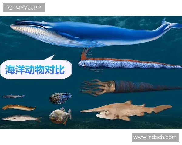 动物与足球明星的速度与灵活性对比探讨